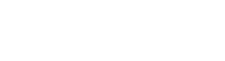 VibiCore